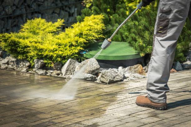 Best Roof Washing  in White Horse, NJ